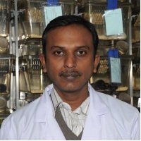 Dr. P. Nagarajan